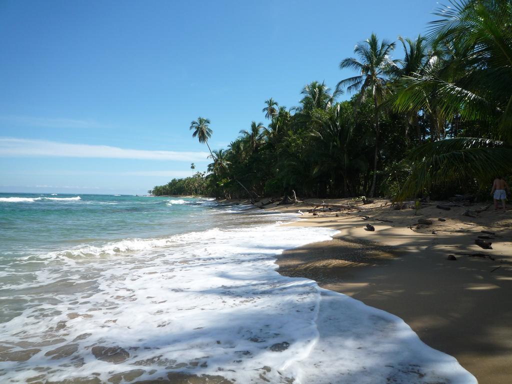 Mar Verde Lodge Puerto Viejo de Talamanca Eksteriør bilde
