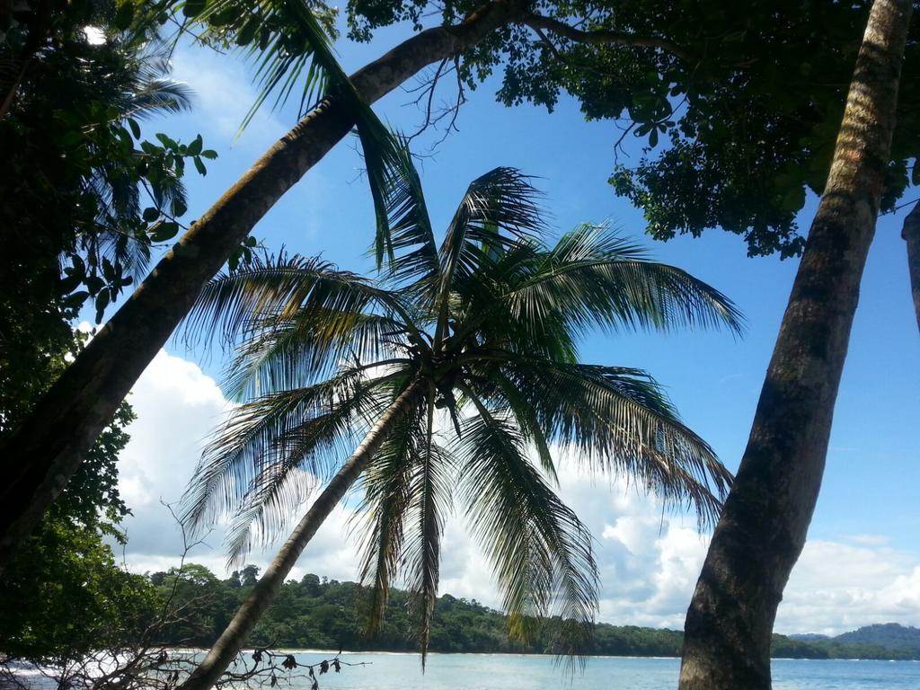 Mar Verde Lodge Puerto Viejo de Talamanca Eksteriør bilde