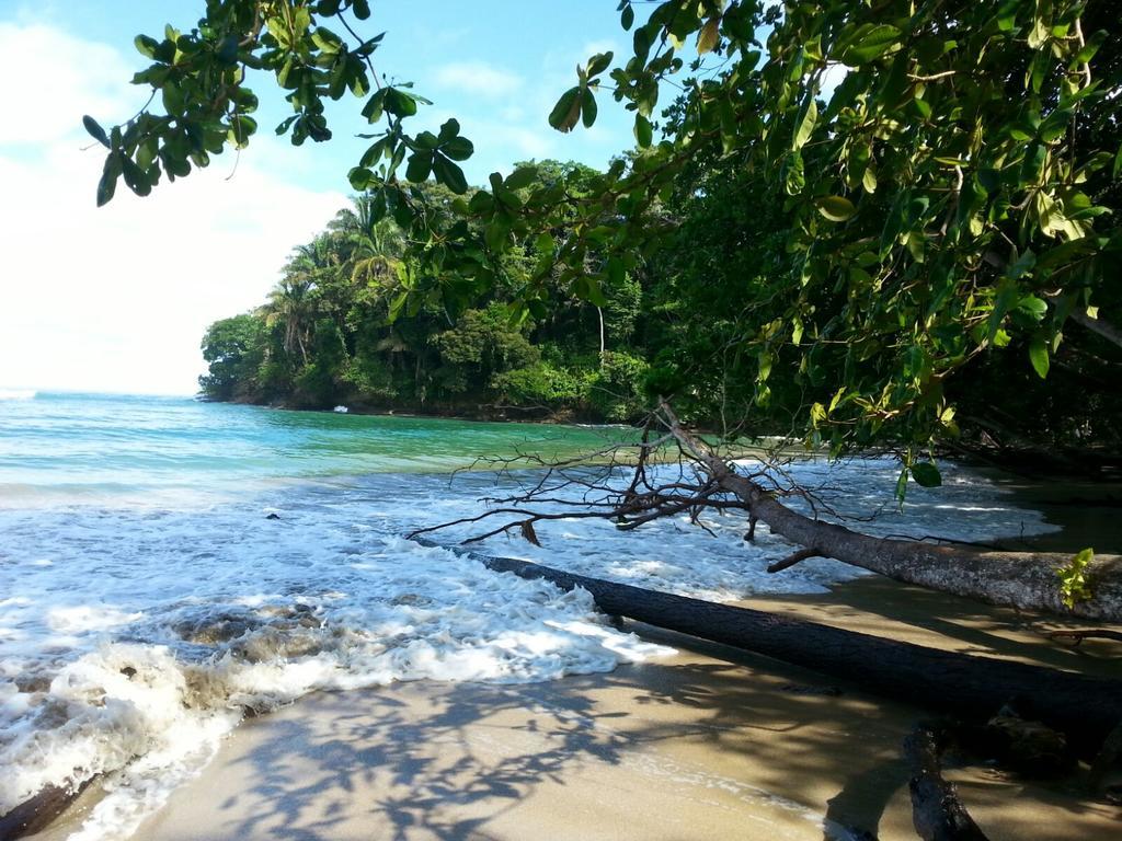 Mar Verde Lodge Puerto Viejo de Talamanca Eksteriør bilde