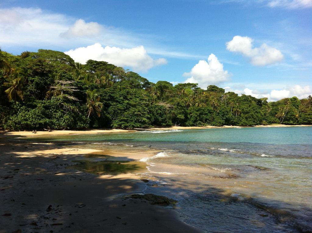 Mar Verde Lodge Puerto Viejo de Talamanca Eksteriør bilde