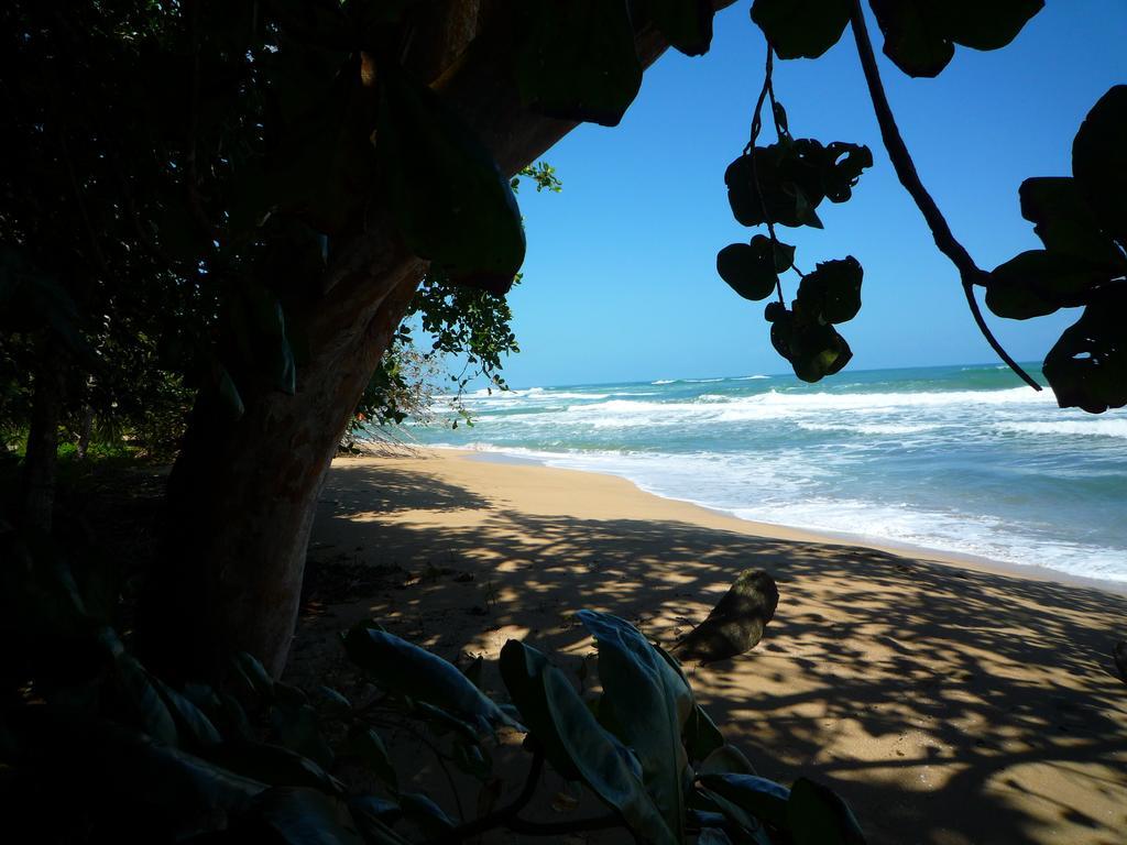 Mar Verde Lodge Puerto Viejo de Talamanca Eksteriør bilde