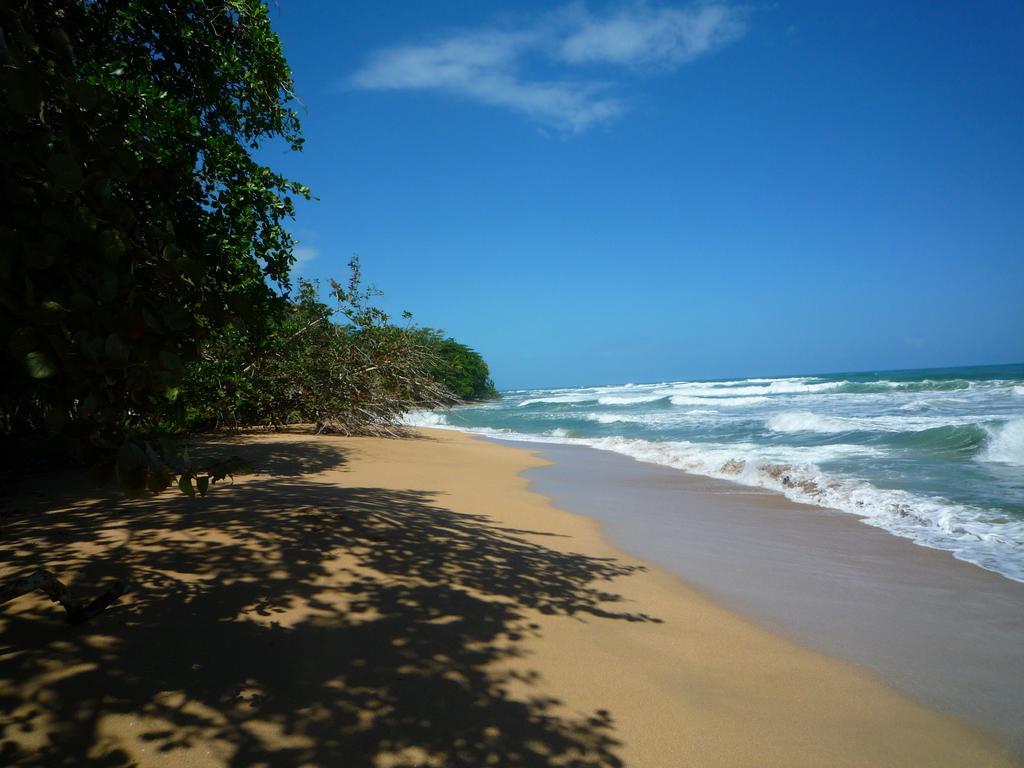 Mar Verde Lodge Puerto Viejo de Talamanca Eksteriør bilde
