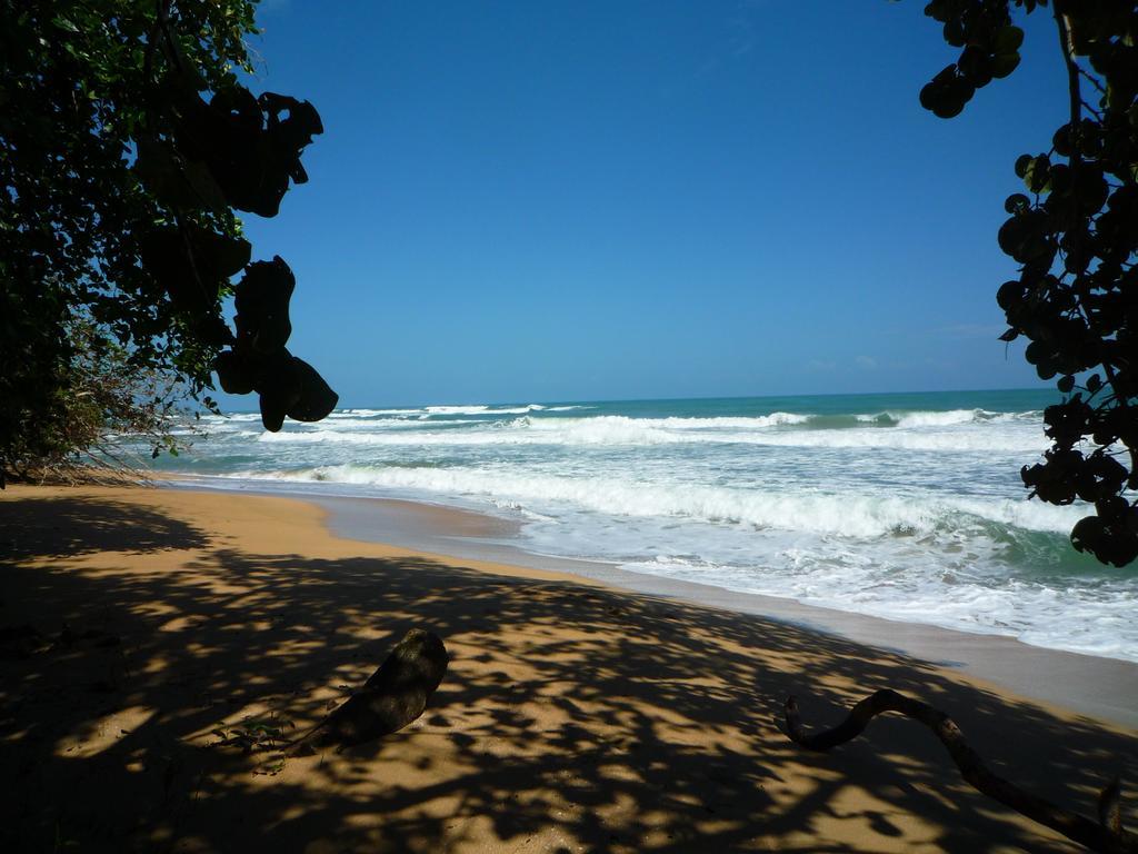 Mar Verde Lodge Puerto Viejo de Talamanca Eksteriør bilde