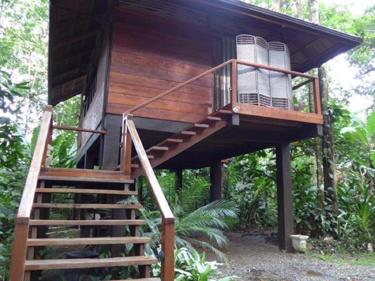 Mar Verde Lodge Puerto Viejo de Talamanca Eksteriør bilde